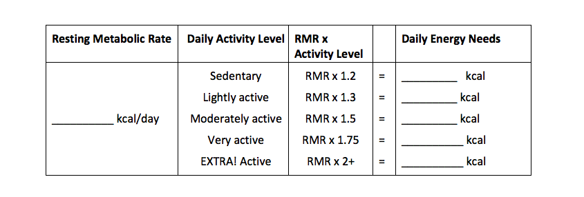 Daily Energy Needs Calculation