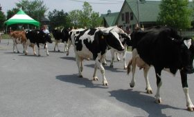 Canada Agriculture and Food Museum