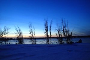 Morten Lidegaard Photography