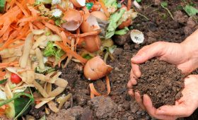 Composting