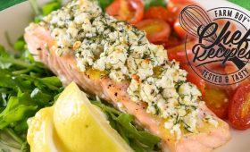 Salmon